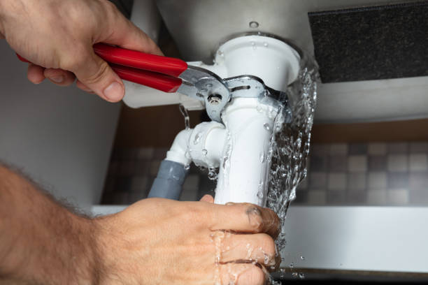 Best Water damage contractors near me  in Rice, MN