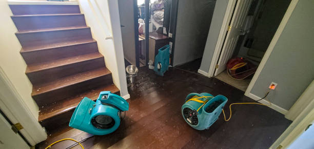 Best Flood restoration services  in Rice, MN