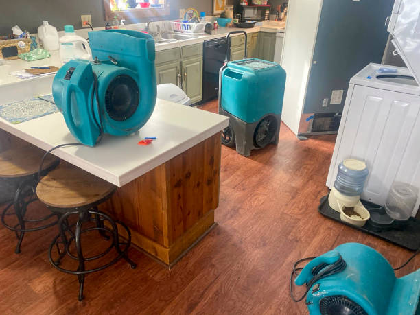 Best Residential water damage restoration  in Rice, MN