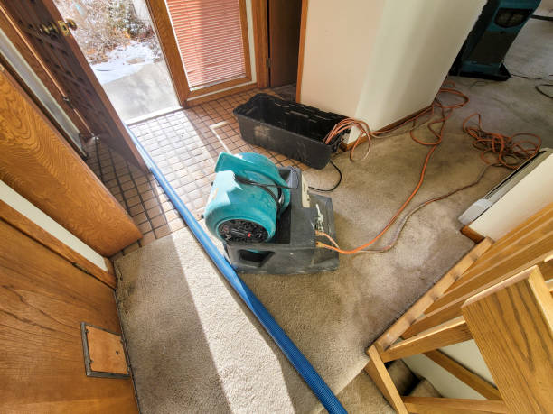 Best Water damage restoration specialists  in Rice, MN