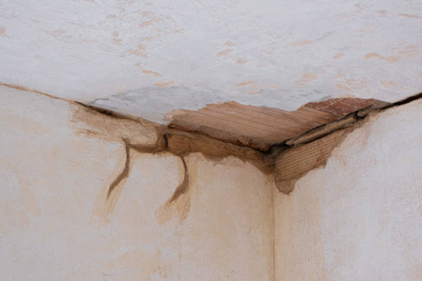 Best Flooded house restoration  in Rice, MN