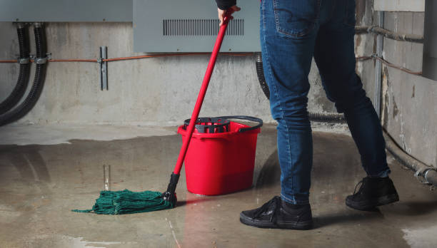 24/7 water damage repair in Rice, MN