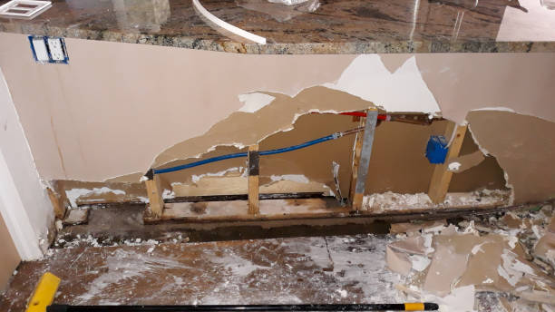 Best Carpet water damage restoration  in Rice, MN
