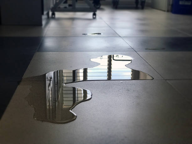 Best Water damage restoration near me  in Rice, MN