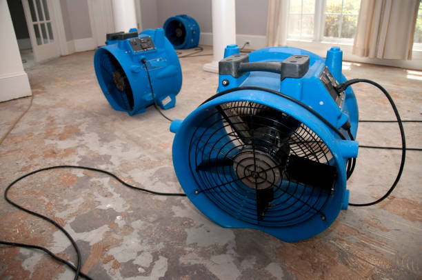 Best Water damage restoration near me  in Rice, MN