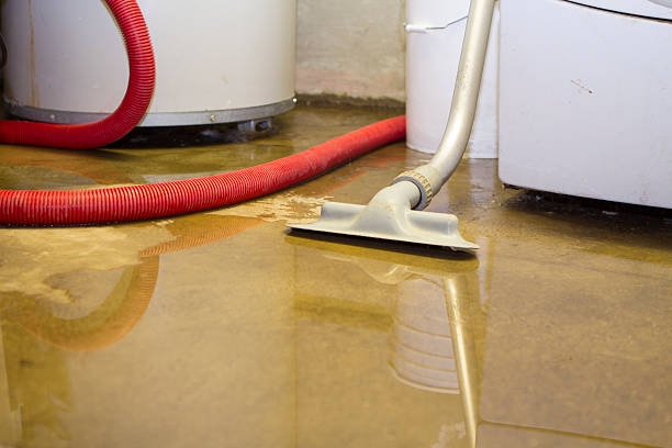 Best Emergency water damage restoration  in Rice, MN