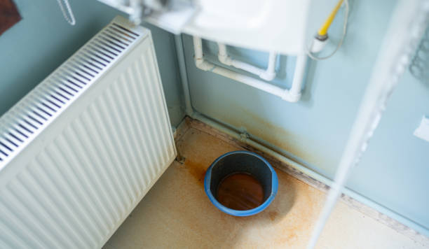 Best Flood restoration services  in Rice, MN