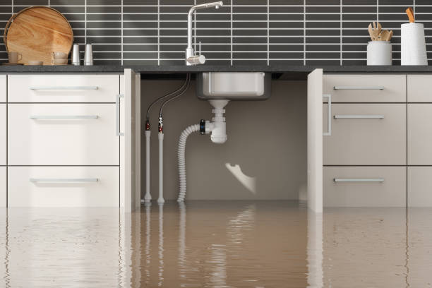 Professional Water damage restoration in Rice, MN