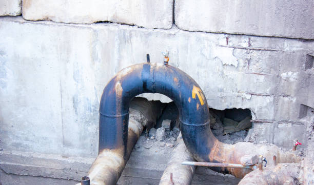 Best Water damage contractors near me  in Rice, MN