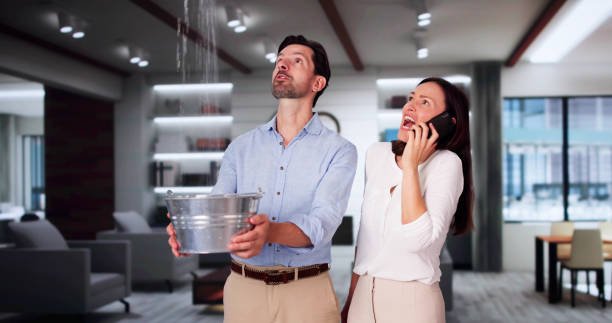Best 24/7 water damage repair  in Rice, MN
